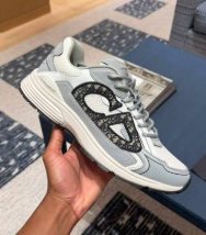 Dior B30 'Grey Dior'